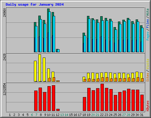 Daily usage for January 2024