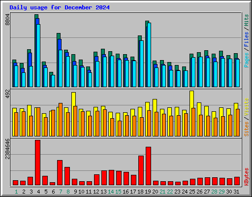 Daily usage for December 2024