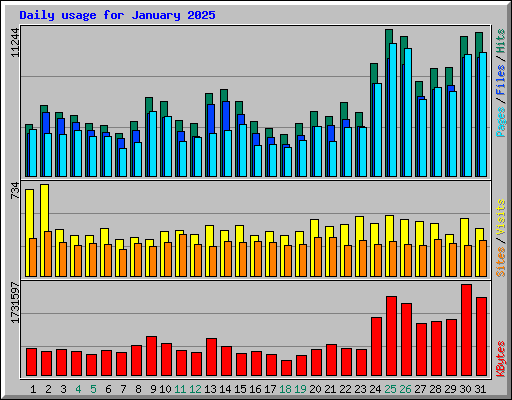 Daily usage for January 2025