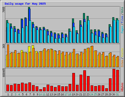 Daily usage for May 2025