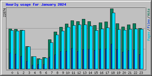 Hourly usage for January 2024