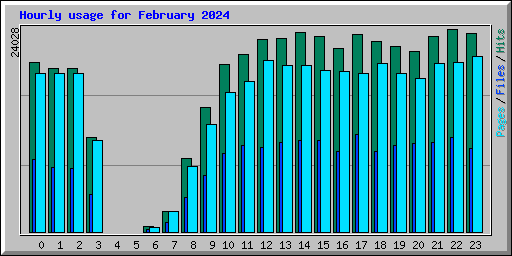Hourly usage for February 2024
