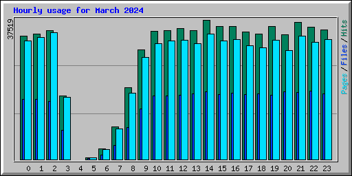 Hourly usage for March 2024