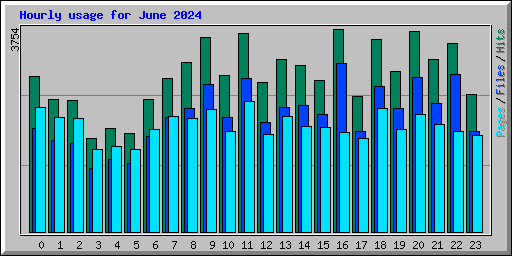 Hourly usage for June 2024