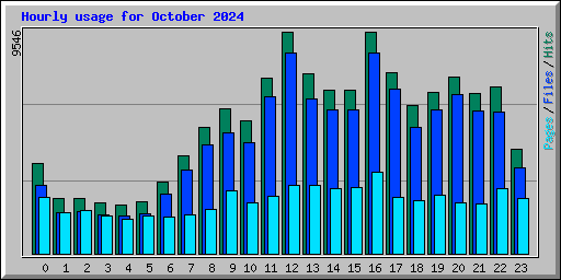Hourly usage for October 2024
