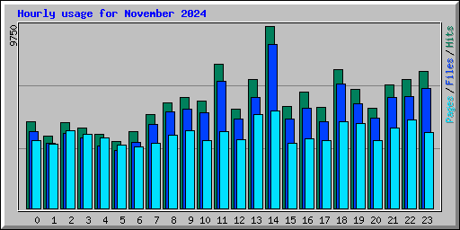 Hourly usage for November 2024