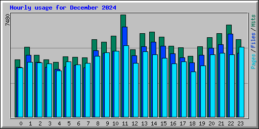 Hourly usage for December 2024