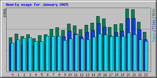 Hourly usage for January 2025