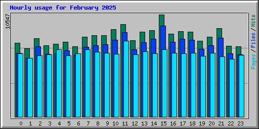 Hourly usage for February 2025