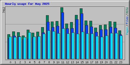 Hourly usage for May 2025