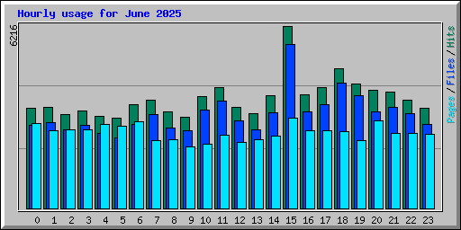 Hourly usage for June 2025